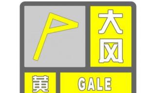 什么情况才可以算黑色预警 黄色预警是什么意思