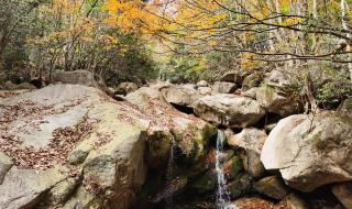 大明山海拔排名 浙西大明山