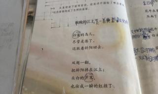 现代诗摘抄四年级长诗 小学生现代诗摘抄